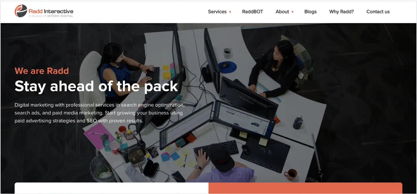 Radd Interactive healthcare marketing firm