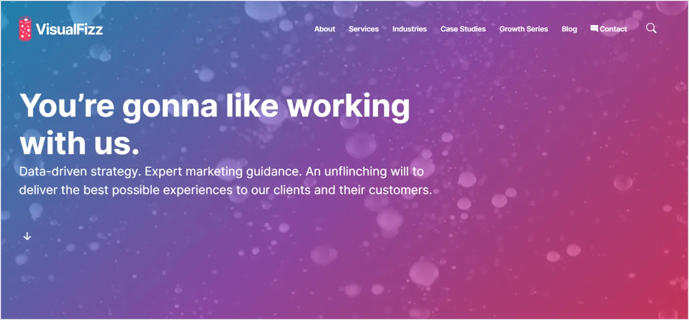 VisualFizz marketing agency for real estate