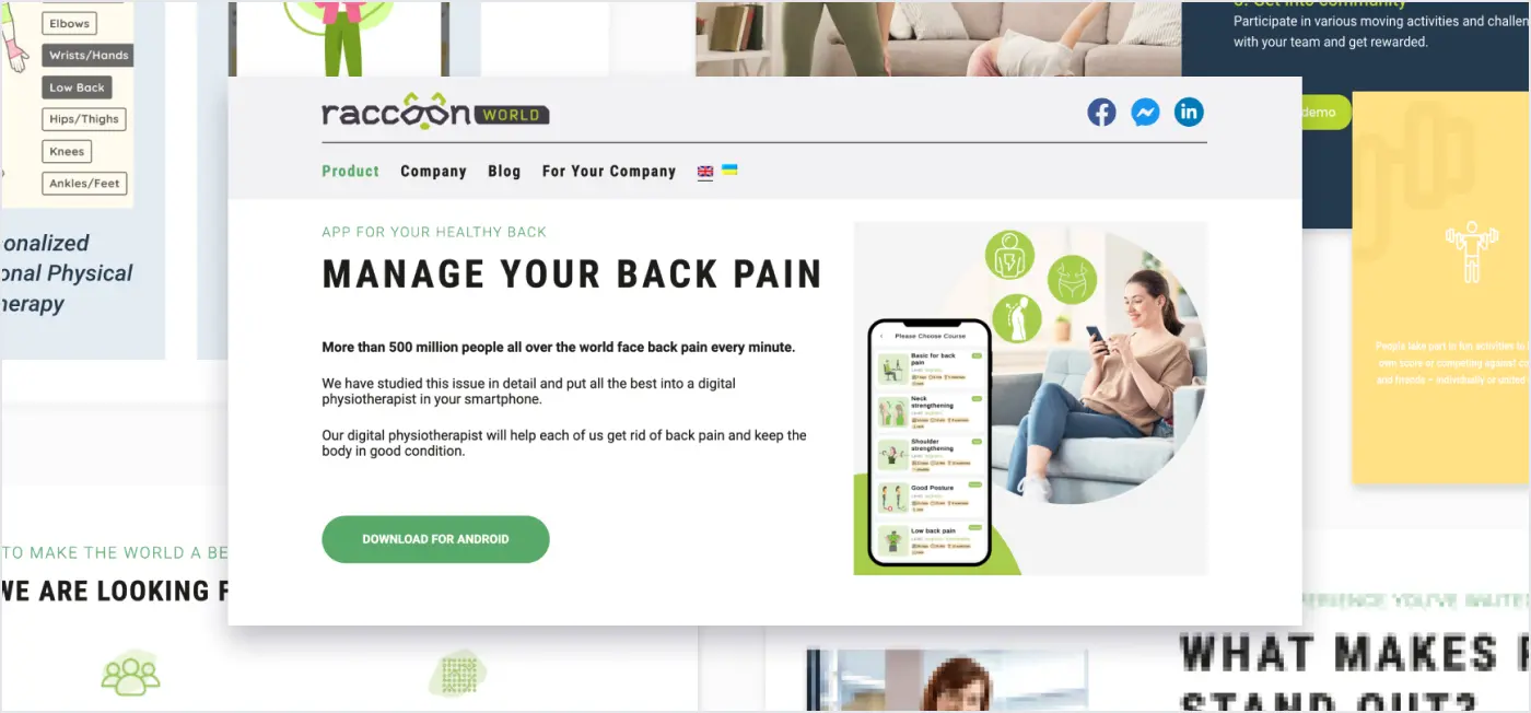 Raccoon World Website